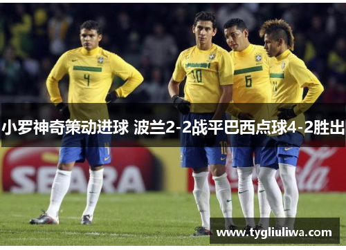 小罗神奇策动进球 波兰2-2战平巴西点球4-2胜出