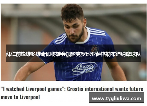 拜仁前锋维多维奇即将转会加盟克罗地亚萨格勒布迪纳摩球队 拜仁前锋维多维奇即将转会加盟克罗地亚萨格勒布迪纳摩球队