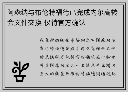阿森纳与布伦特福德已完成内尔高转会文件交换 仅待官方确认 阿森纳与布伦特福德已完成内尔高转会文件交换 仅待官方确认